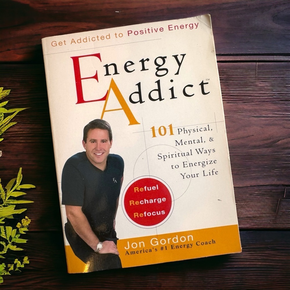 Energy Addict by Jon Gordon (Paperback) Good Condition, Selfhelp